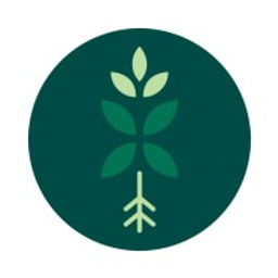 Bloomboxclub logo