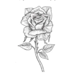 Roses logo